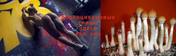 MESCALINE Белокуриха