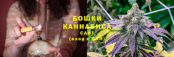 MESCALINE Белокуриха