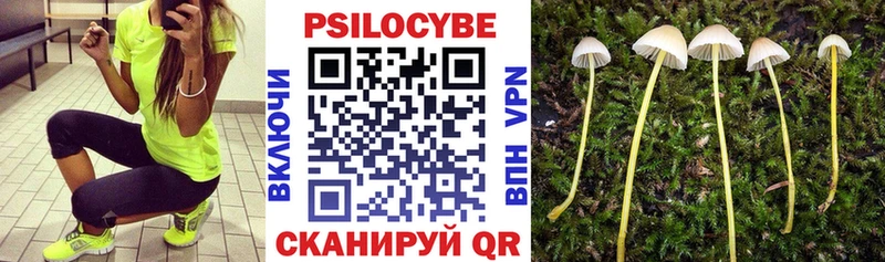 ссылка на мегу зеркало Краснокамск Галлюциногенные грибы GOLDEN TEACHER наркотики